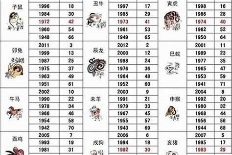 49歲屬什麼生肖|49岁属什么生肖